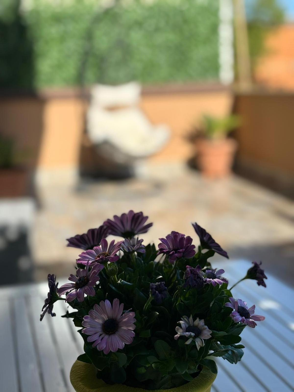 Zefiro Lido di Ostia